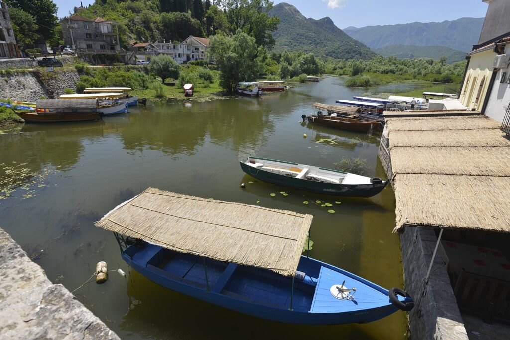 Lake Skadar: National park and study tour by boat