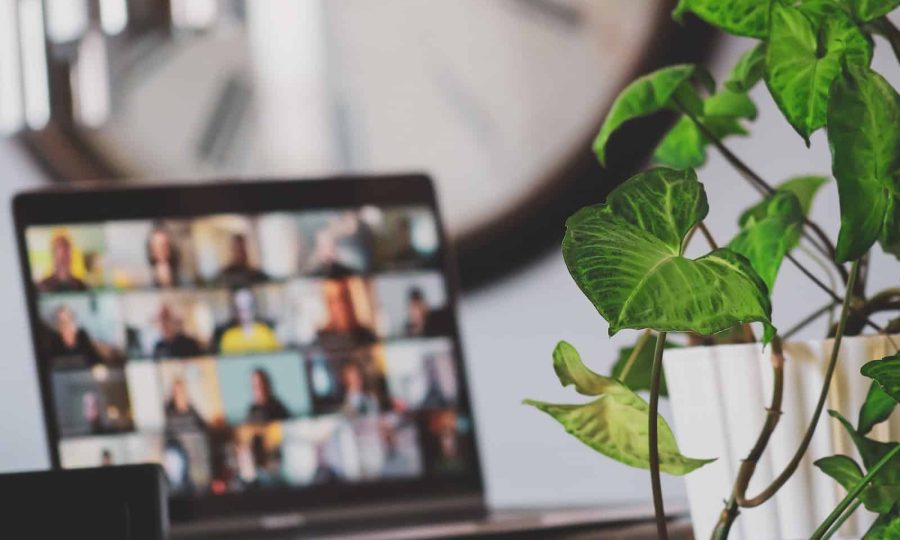 black flat screen tv turned on near green plant