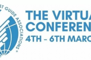 logo wftga virtual